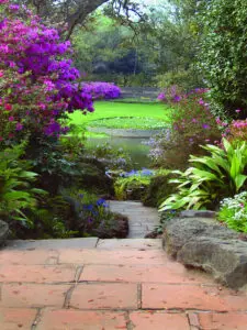 A Garden Place With Stone Stairs and Blue Flowers